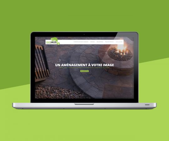 Les pavés Caméléon